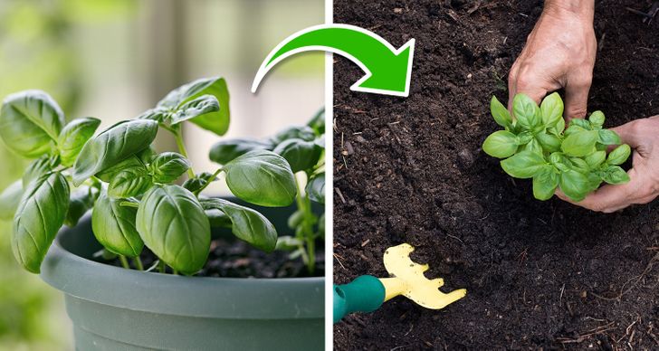 56a21459b992dacb599d2138db