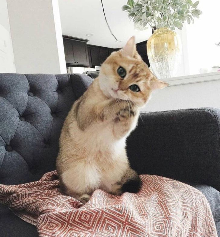 56a9ac5a68816d783357f6d1e6