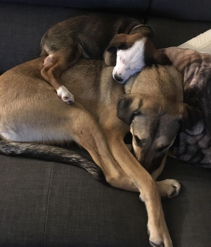 56af81504faaa5d605dcbf131b