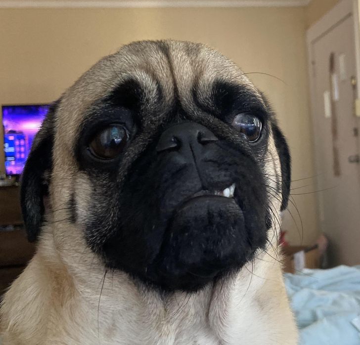 56b16c5c5592893e9f024631ba