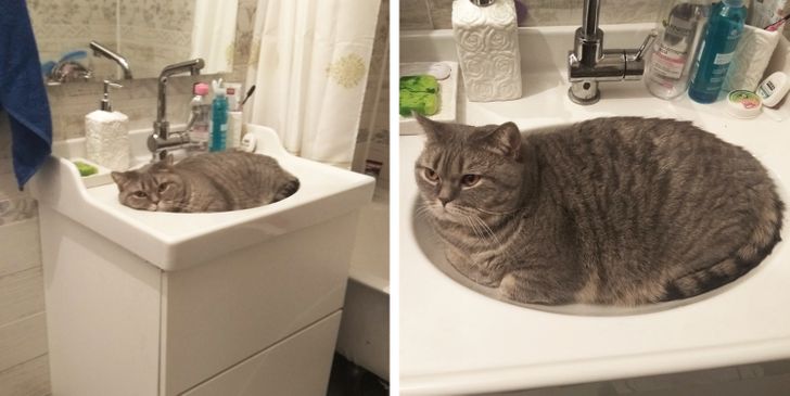 56b3d8542f8a950812167d9f8a