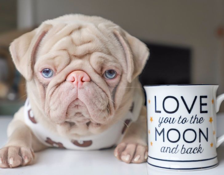 56b57e5c4293984f7f16ce4b85