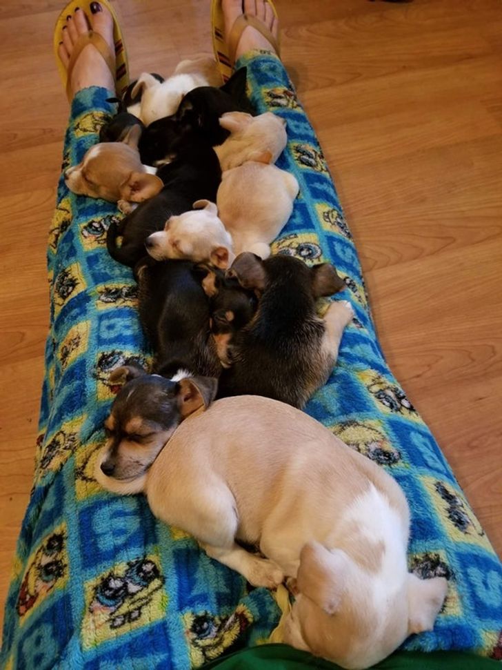 56b97050ca96d51d8073d86a6f