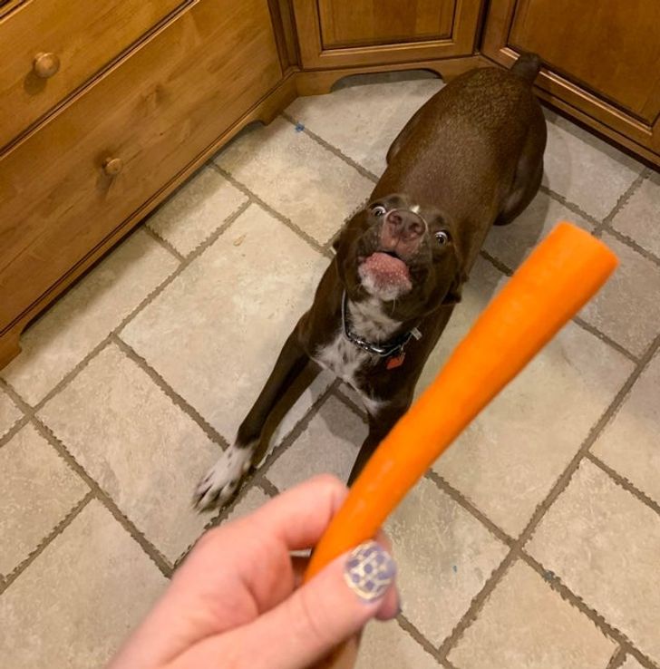 56bed1559aaf54191200fe1bd3