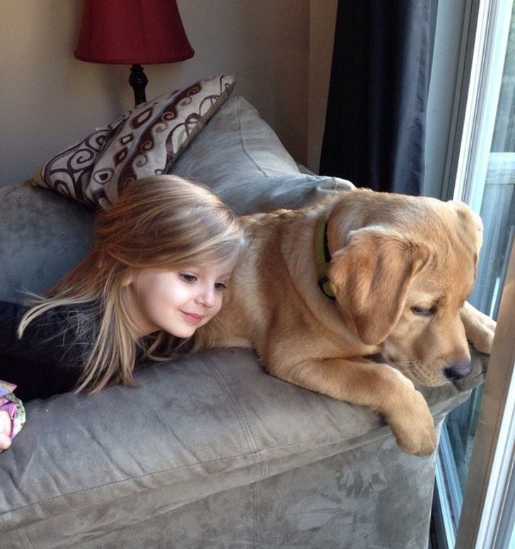 56cc665c8e9ee1090cc8e3fd8a