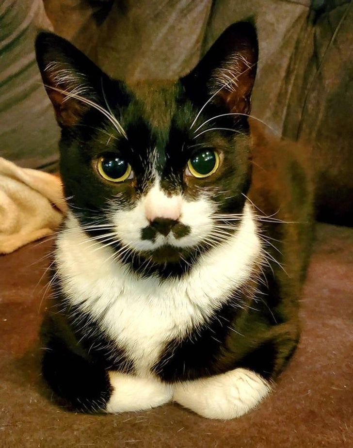 56cce0509fa923976109c85bdd