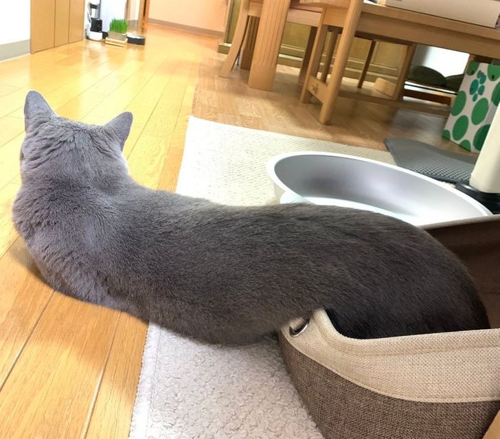 56cf1f57748bbc52476c993349