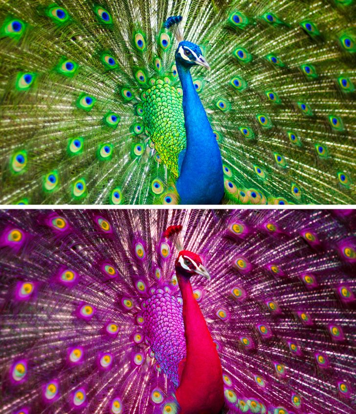 56cf585144b6ba8cc4b9a65971