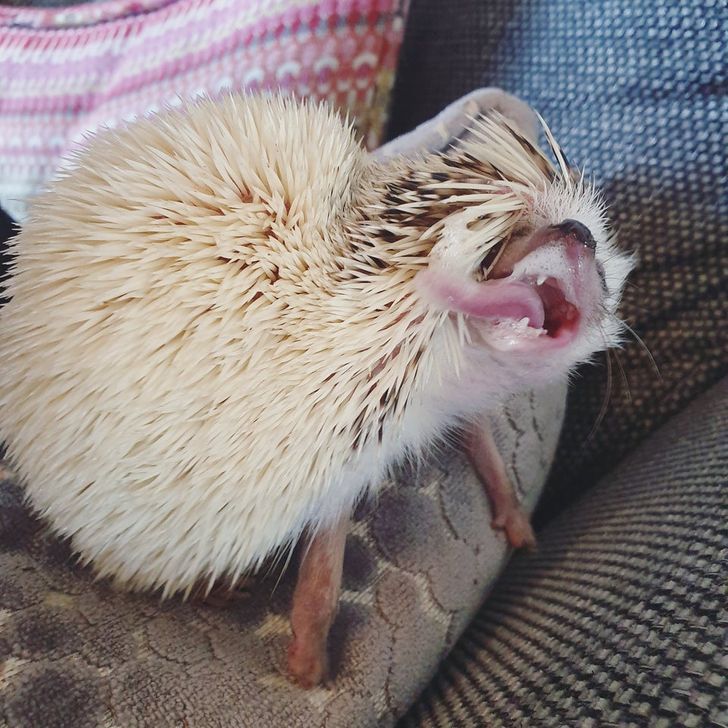 56d4a851fcb2ea28a73a089be1