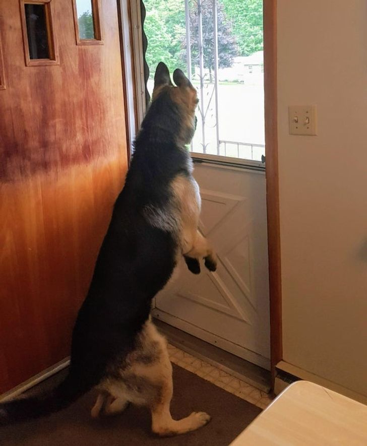 56e35551d7a66f20f436593c6f