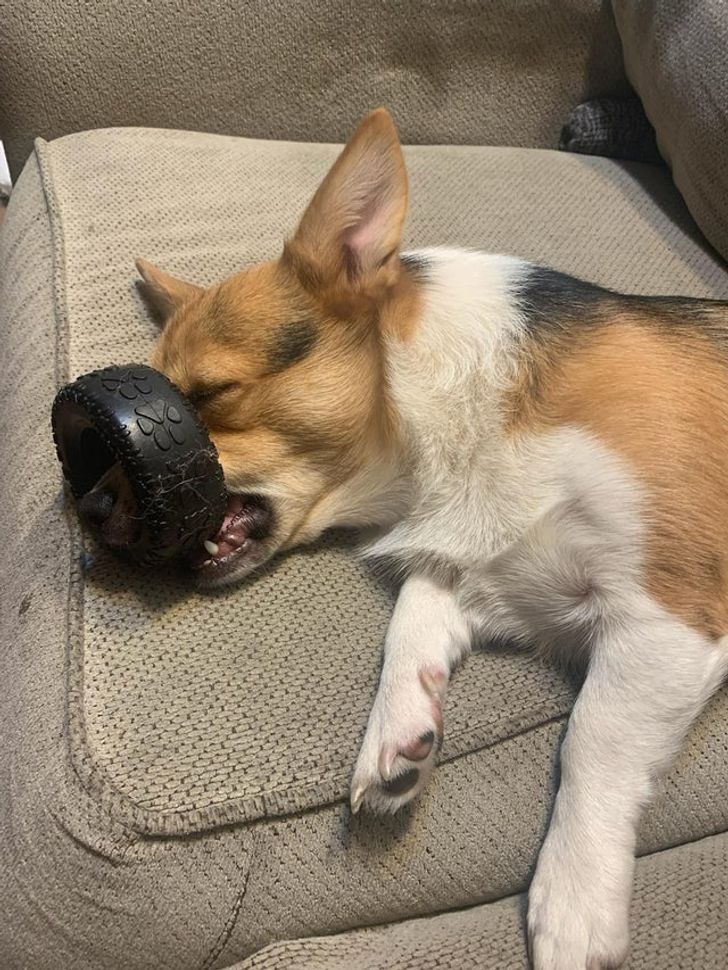 56e4365ede86a111d954bde0de