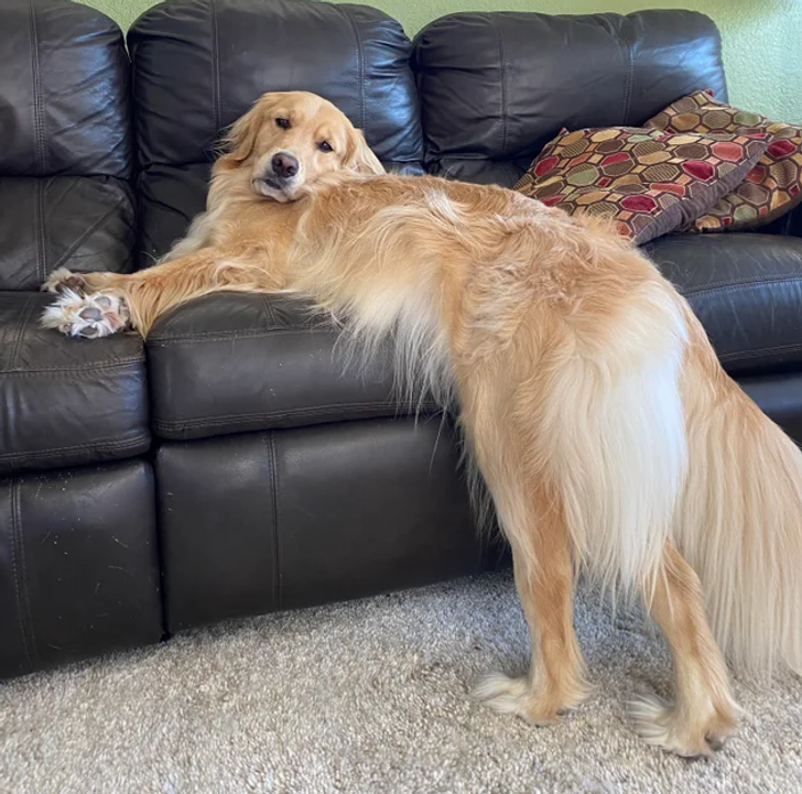 56ec88501194a498b103a17c67