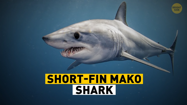 56efe65689a8c76552b56cd2c4