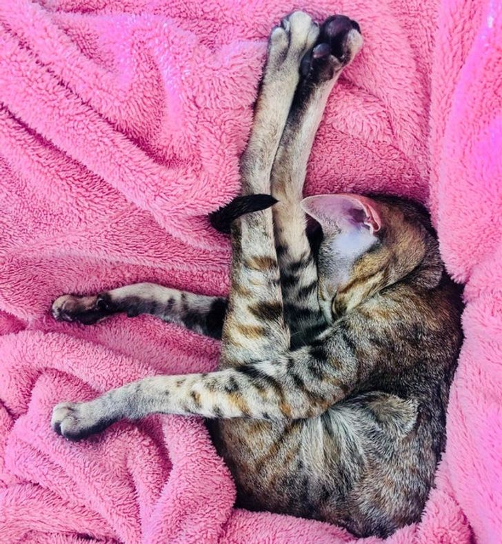 56f0f359bdad122d2f5aed4996