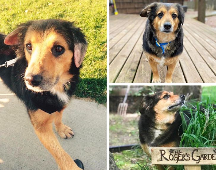 56f78a52abbfcfad682013b9a3