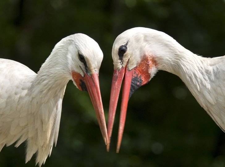 56f8fe5acbb5b7a1fa7a7a0fda