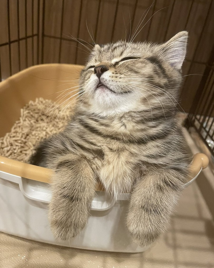 56fa305819902bb2ff628fc8db 56fa305819902bb2ff628fc8db