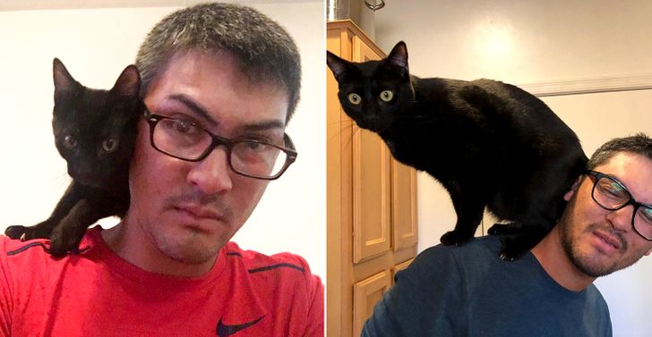 56fb7b5b6599e6266258ae1a41