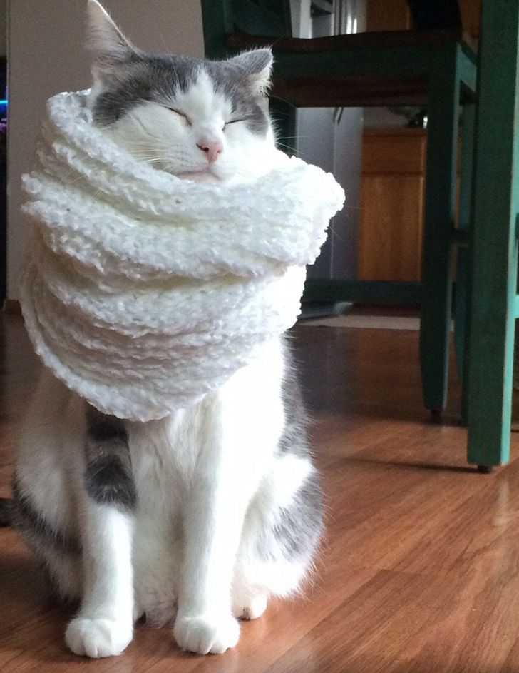 5701ea51cb882a66512432d0b0