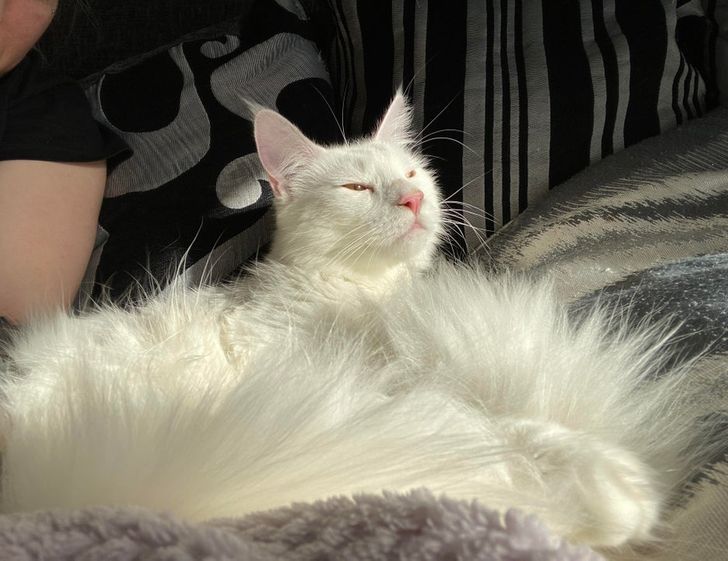 57064b5e7191d669218b85e44c