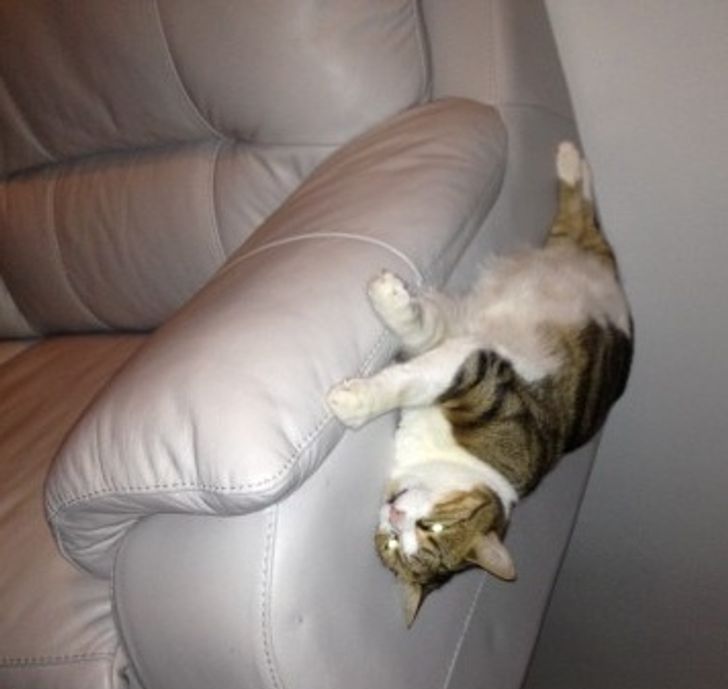 570c70551486e84125862404b3