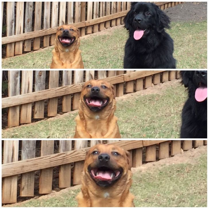 5711ff5eb290d7014cb019c195