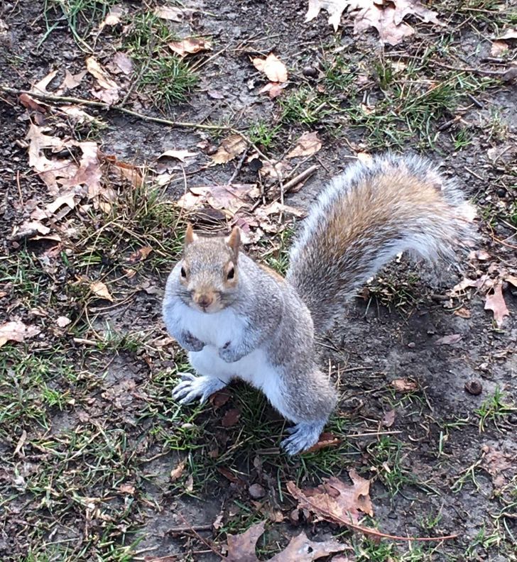 57171751ba8eb3a432a1dcf0c2