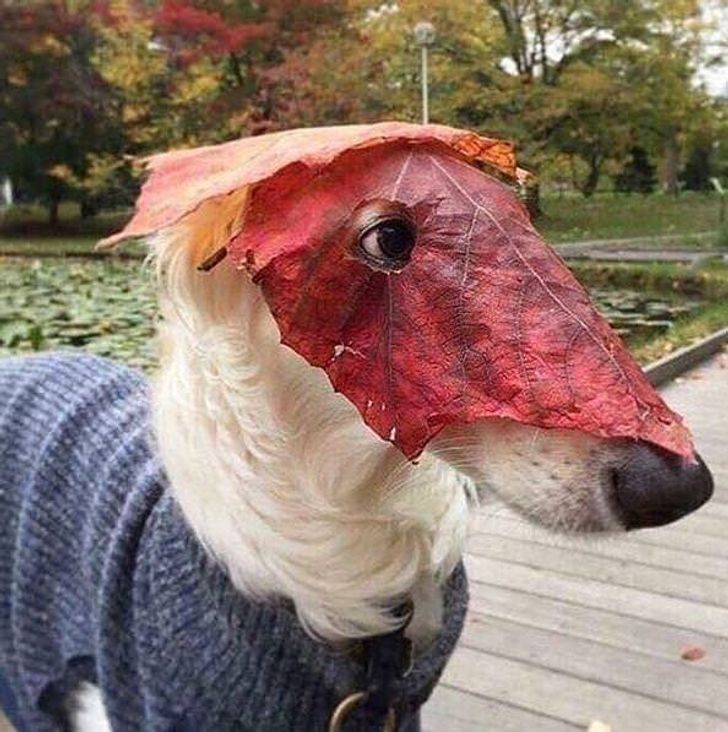 572a9556a684b9ea62b356fabc