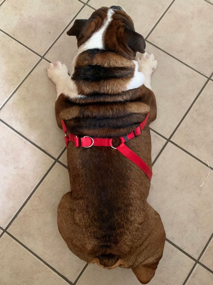 572e835cc7874c94e8f11234c6