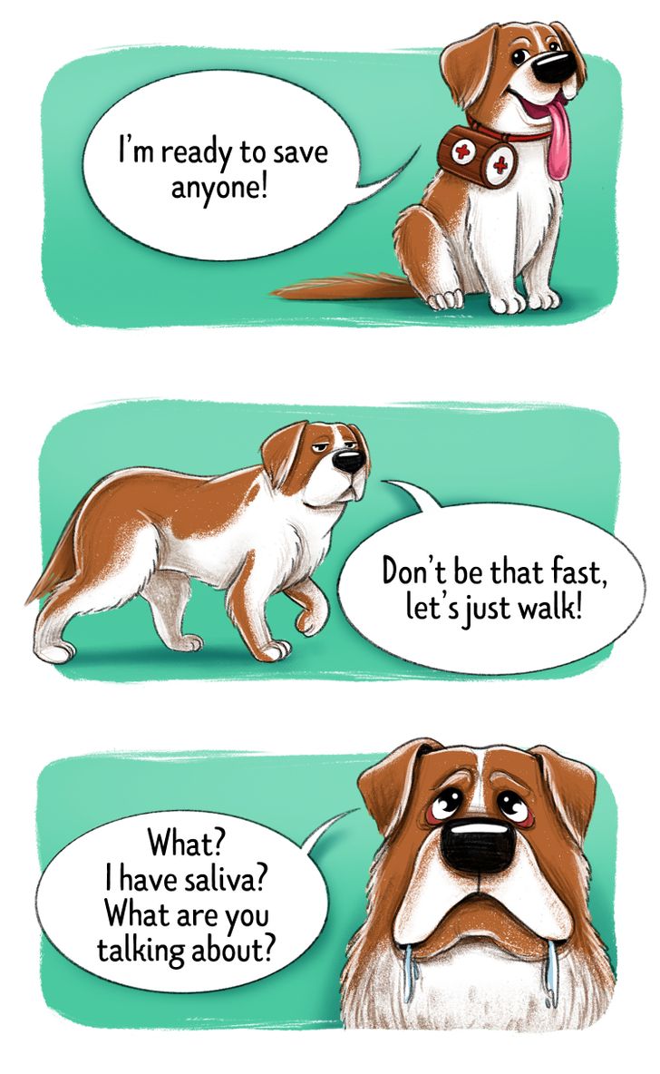 573ffe53f58b1216e27f78e62b 573ffe53f58b1216e27f78e62b