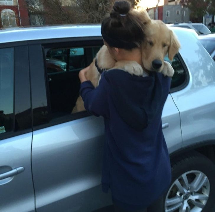 5744bb5bfb838da82d081e5df0