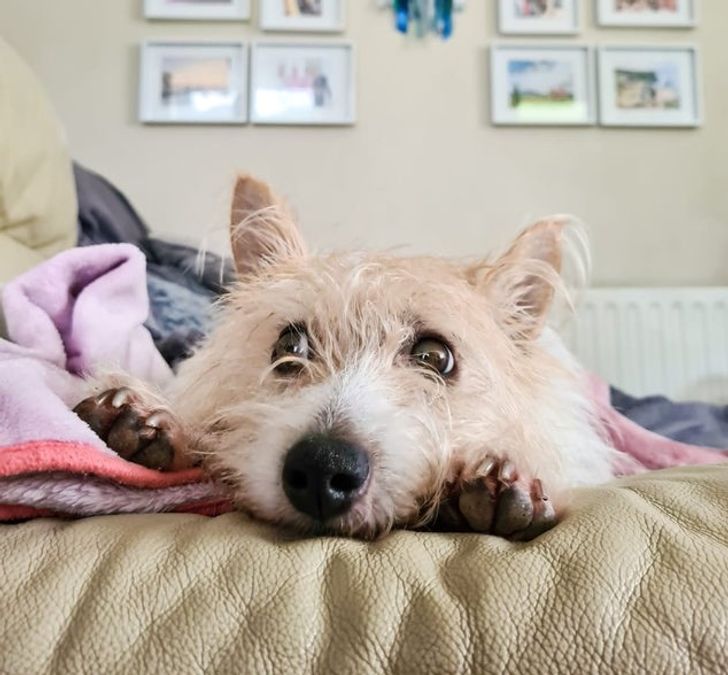 5747a254f5ad6849c748ce313f