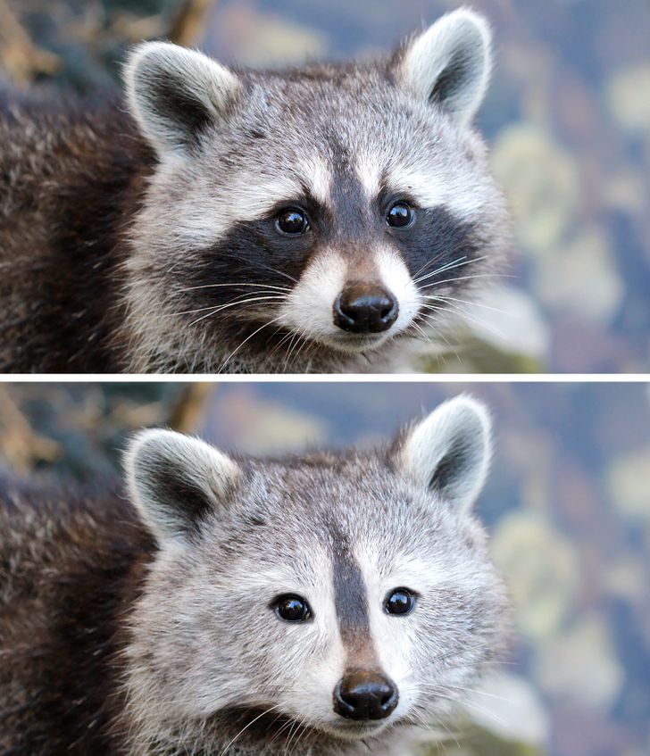 5748755343a2cb11c5470ddf8c