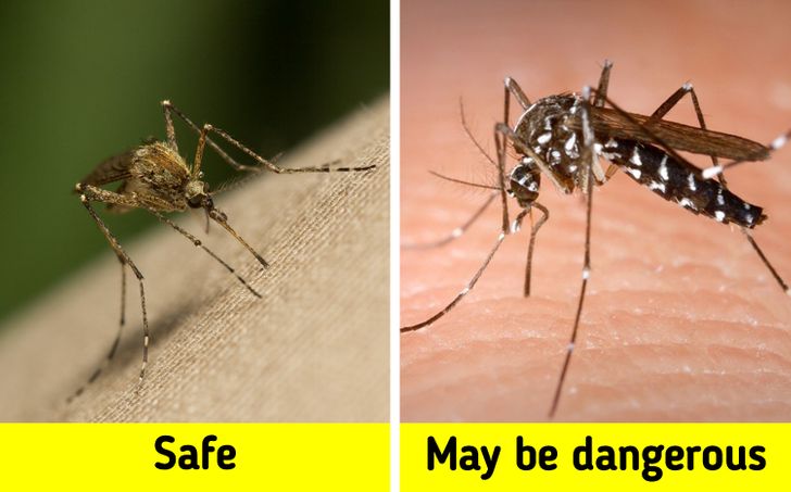 5750cf5e019c1bbeb12c085154