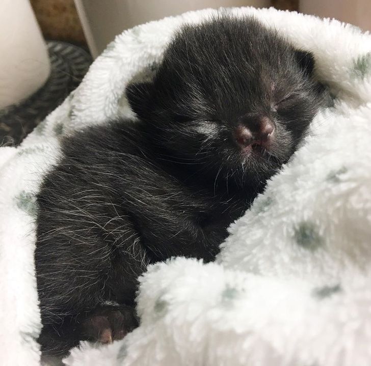 5751d05b3997a317ac26ea07fa