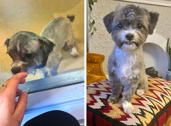 57520156b5ab6e50e0dec6c405