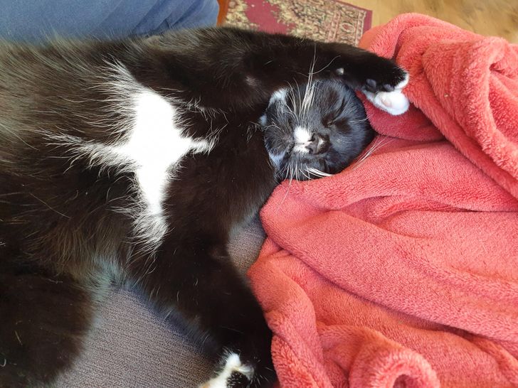 57586f503c9e5487111301a456