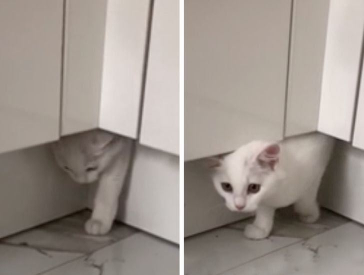 575dd6581cad8f09bcffe471e6