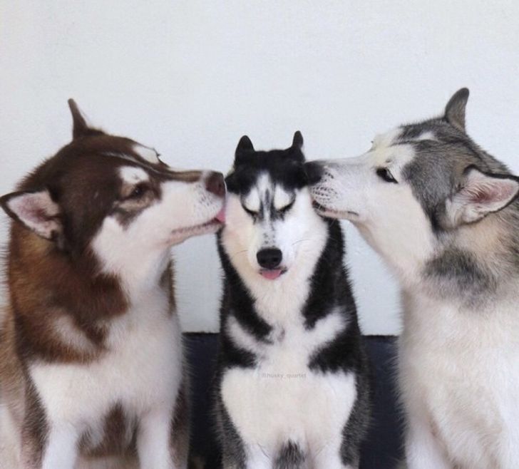 575f105d4e9ba185ab1ac7bb4e