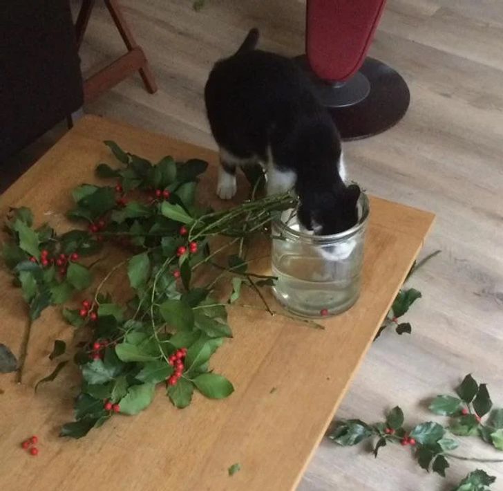 5761ef59b7913ee586bf867d43