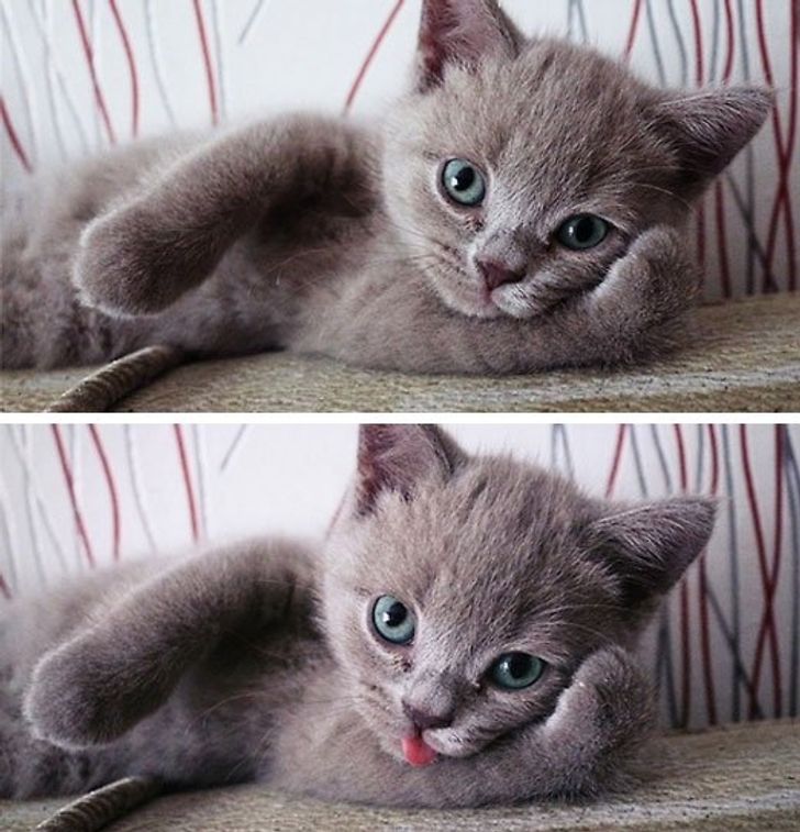 57692b5ce9b5d47efd310e8c12