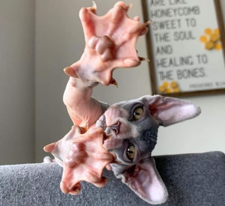 5775ec5d91b872afe0fb65c0f4