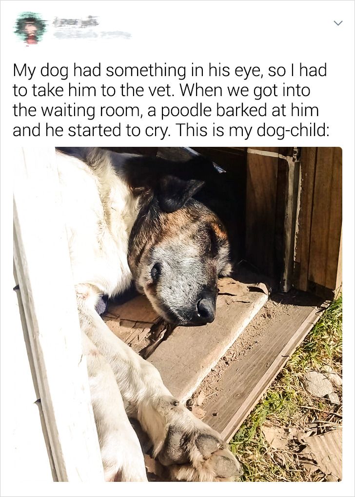 577cc6596b9e2de7bd1d5372fe