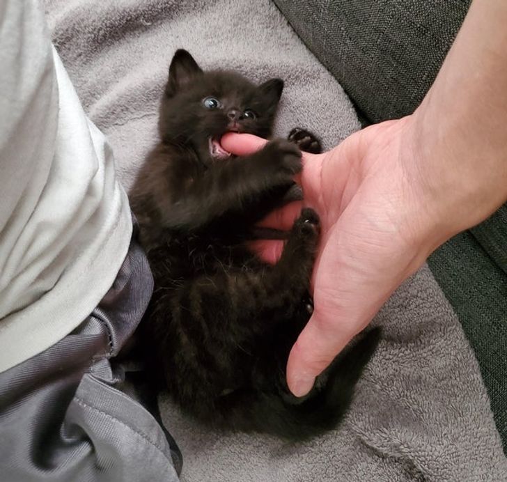 5782915a2ea6d10dced198613f