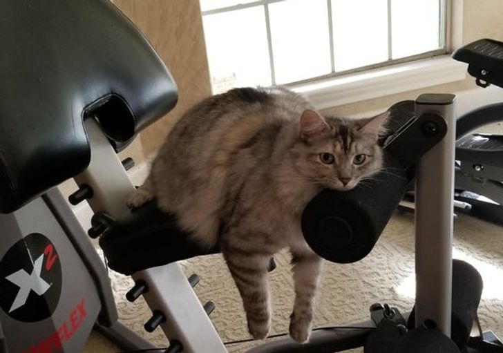 5782ea581b84f403d1d1acb46e