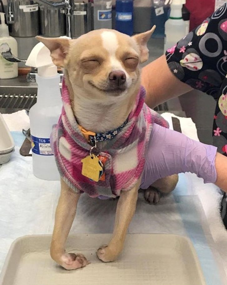 57856e55629f32c4ba9154d360