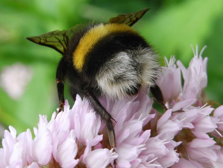 5788255949b43fec4a5a76490f