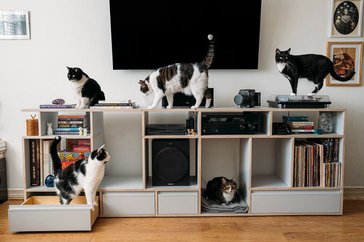 578ce957b1a948999305a82f23