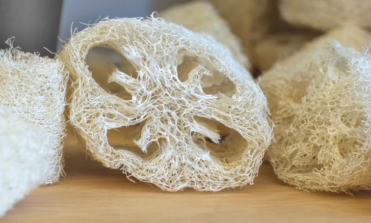 5790f65c119904c75a07315856