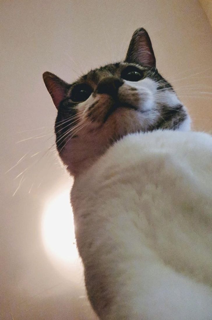 57919350859c784e28855dfc37